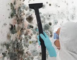 Mold Odor Removal Services in Dunnavant, AL